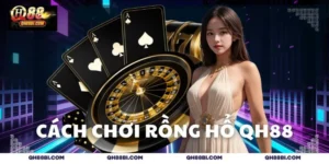Cách chơi Rồng Hổ QH88