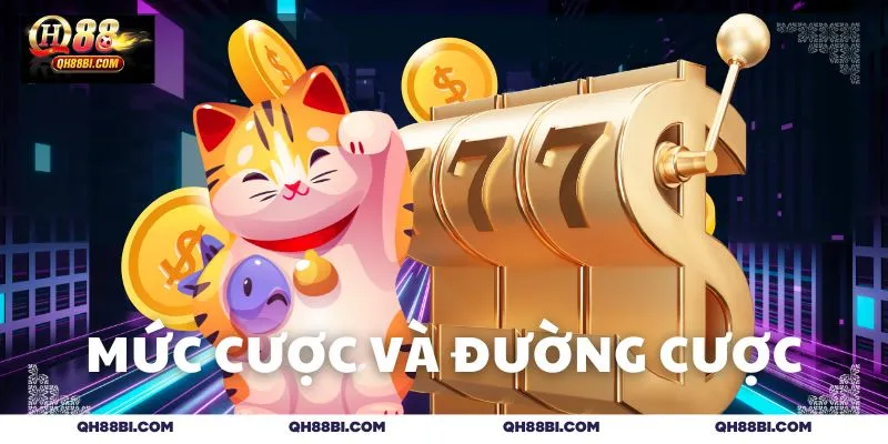 Thông tin cơ bản về mức cược chung