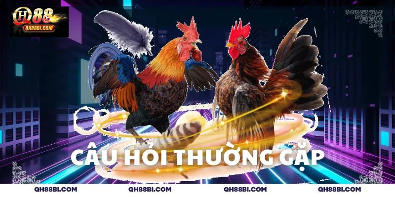 Giải đáp những thắc mắc