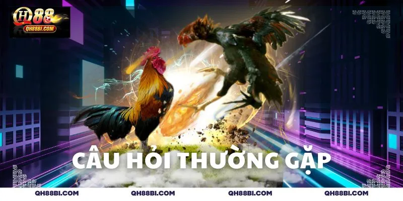 Giải đáp những thắc mắc